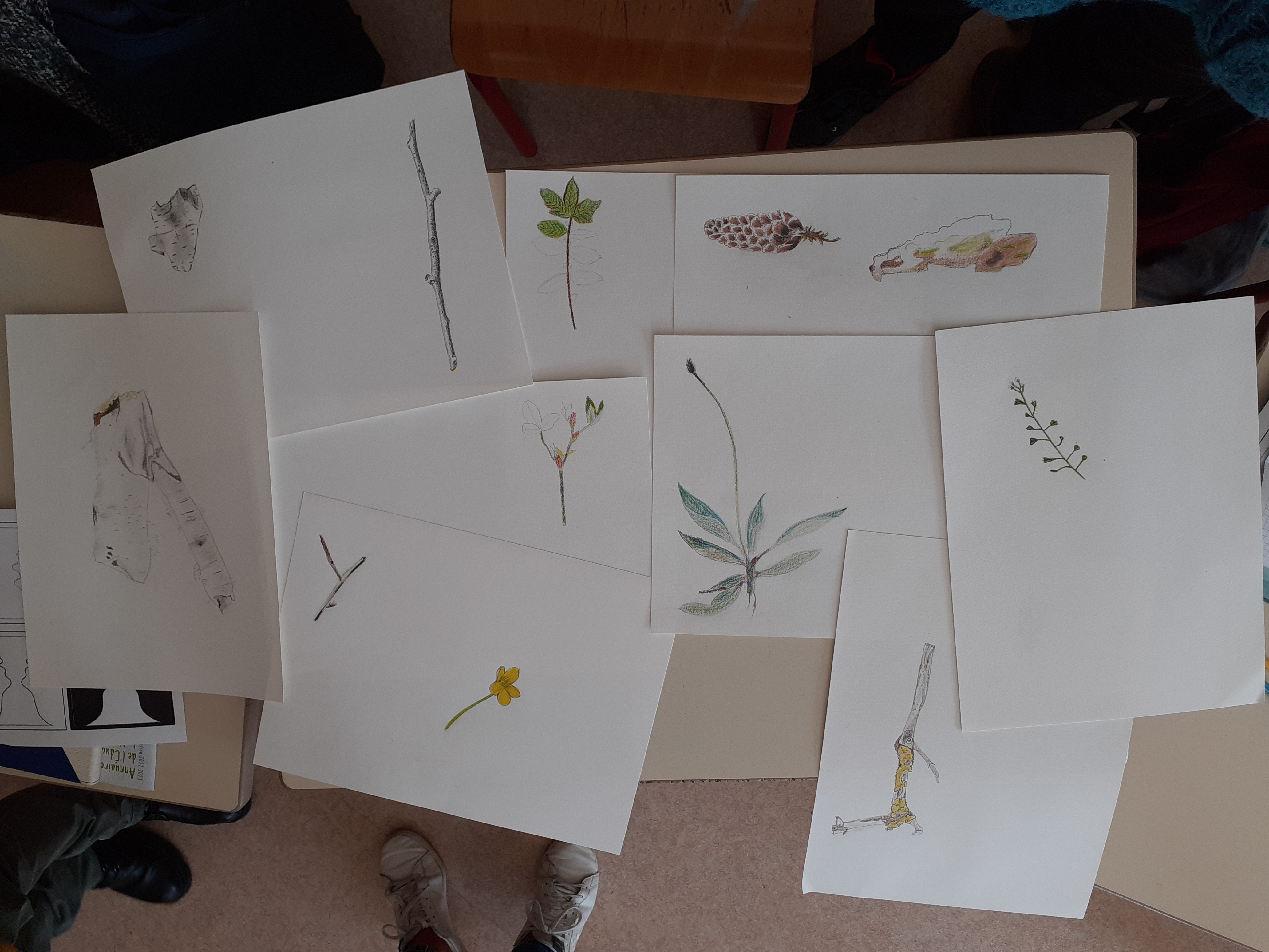 Exemples de dessins créés pendant cette journée